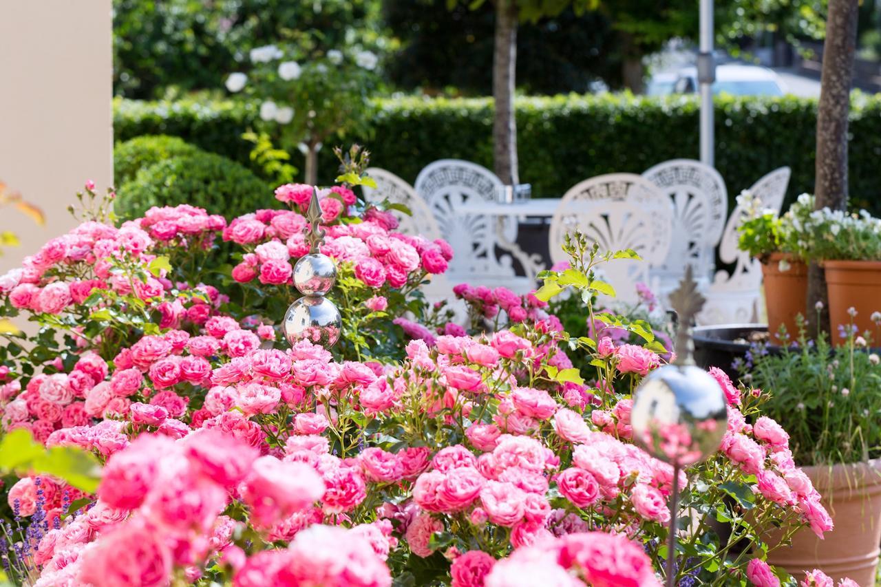 Das Kleine Hotel Iphofen, Fruehstueckszauber, No Waste, Nachhaltig, Nahe Aller Weingueter, Knauf Gips Kg Und Connekt, Kleines Secret Mit Garten & Terrassen, Tv Mirrorring, 55" Tv, Fine Dining, Hunde Willkommen Экстерьер фото